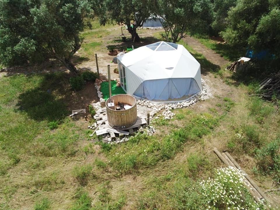 Forest Domes Setúbal Exteriör bild